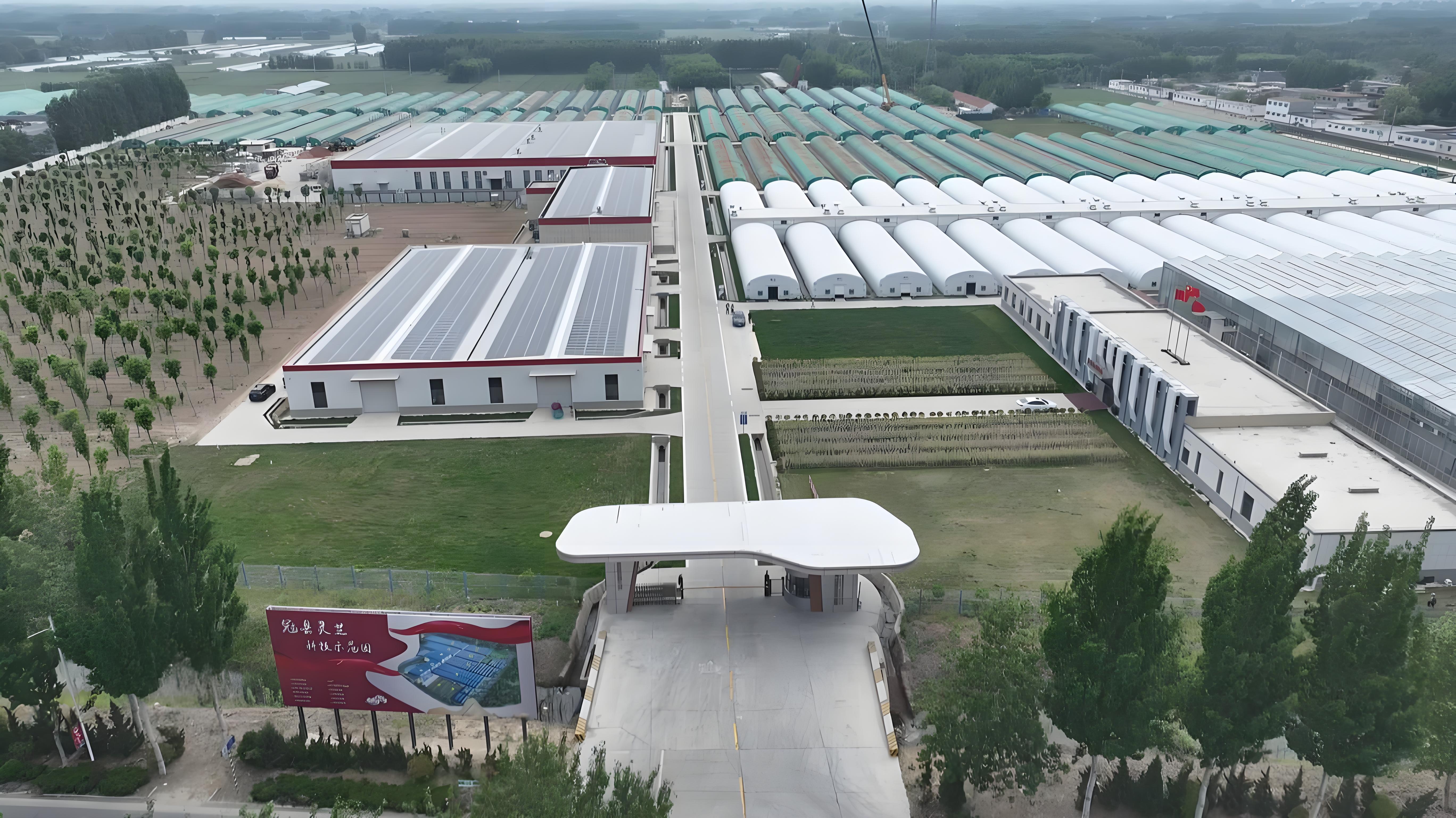 冠县灵芝标准化基地